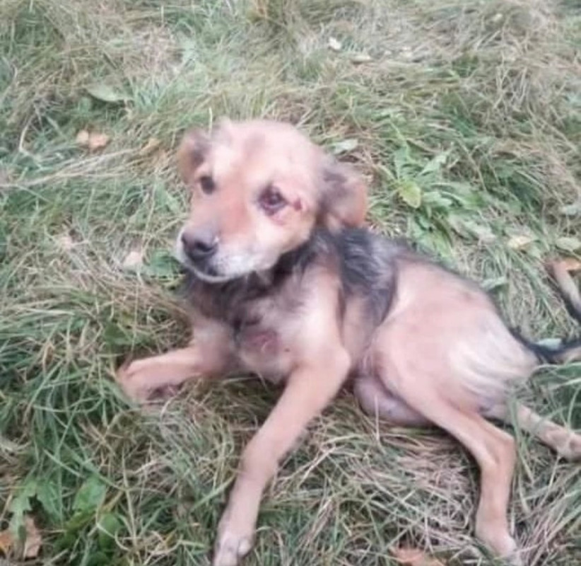 A67BA2F5-5395-4AAE-B525-66549171EA67