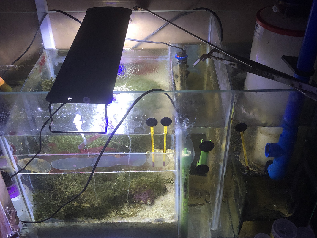 BCA23001-5A67-4837-858B-762144ABED61