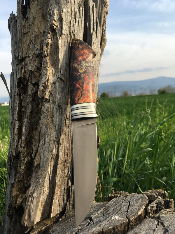 6A031360-93D0-45A0-A34F-DB6BE7C8C478