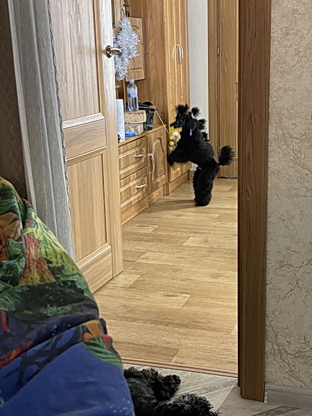 https://i.postimg.cc/wBBv8S4Q/IMG-7047.jpg