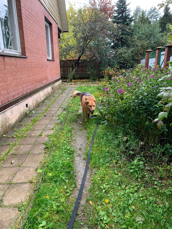 6FC0365B-6D82-427F-A052-E8052DDE9413