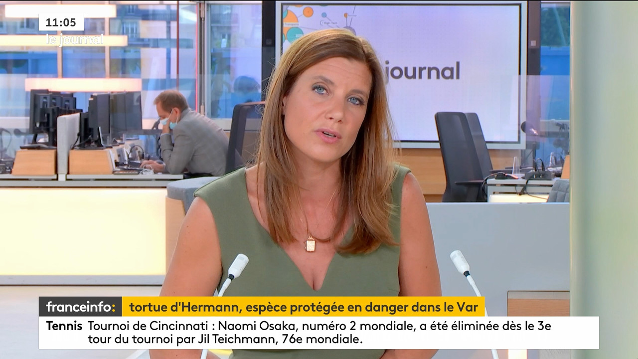 08.20 - 09.23.00 - franceinfo  et tout est plus clair. L'émission et ....ts_snapshot_08.51.525