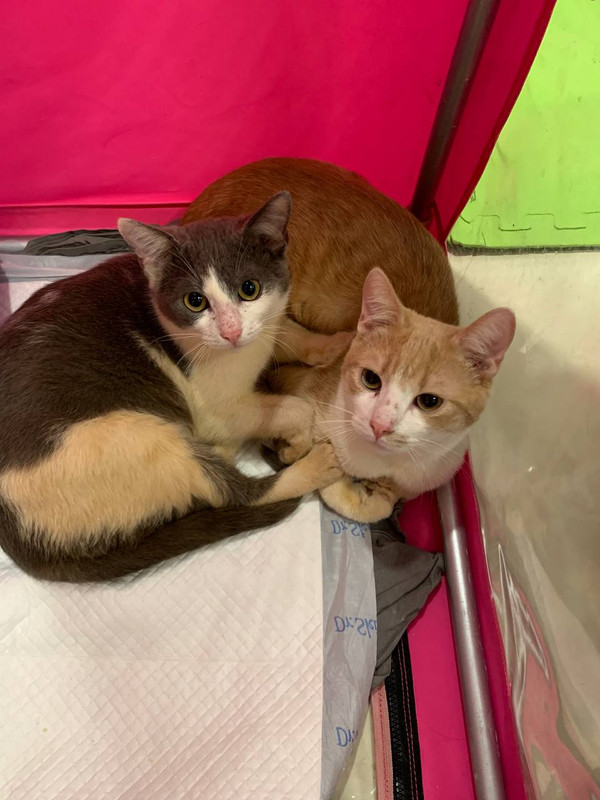 E08E1BF7-F8D5-49B4-BE85-0D0B72824542