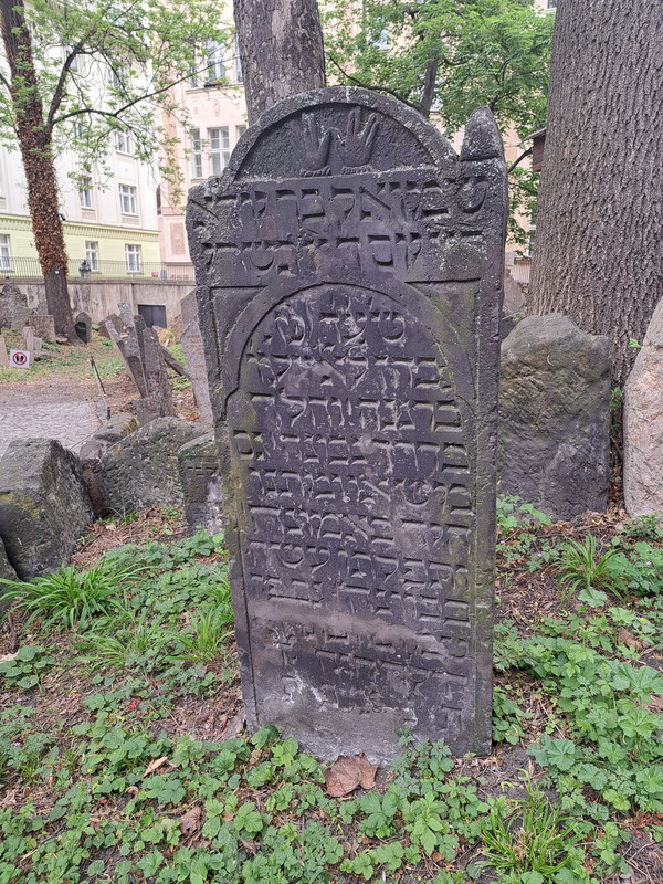 07.08 - 20240503_103500 (TomaszK)