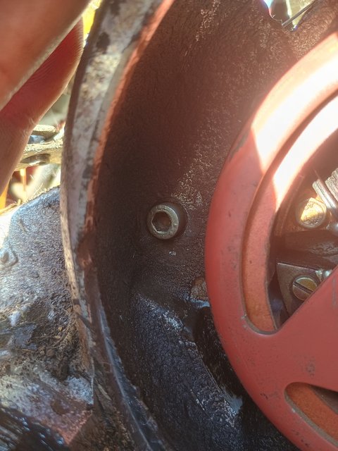 IMG_20241116_112705455_HDR