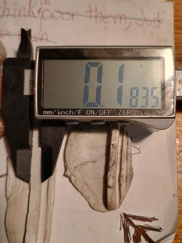 IMG_20240828_074330469_HDR