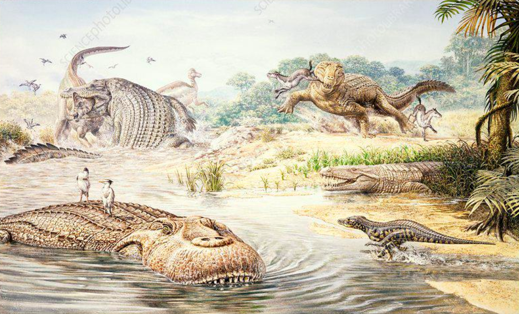 <a href='http://www.johnsibbick.com/library/display.asp?product=C1#' target='blank'>John Sibbick</a> Intrestingly this image is usually cropped to only feature the Deinosuchus and Corythrosaurus. The other species present are Protosuchus, Pristichampus, Sebecus, and Purrusaurus