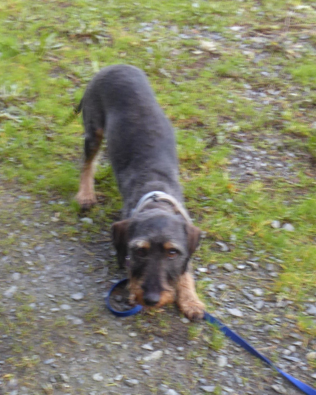 [Image: P1040657.jpg]