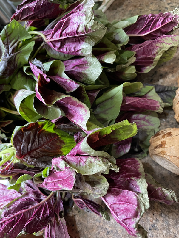 9A0E4B21-4BFA-4D85-A3ED-08EEFAF4183A