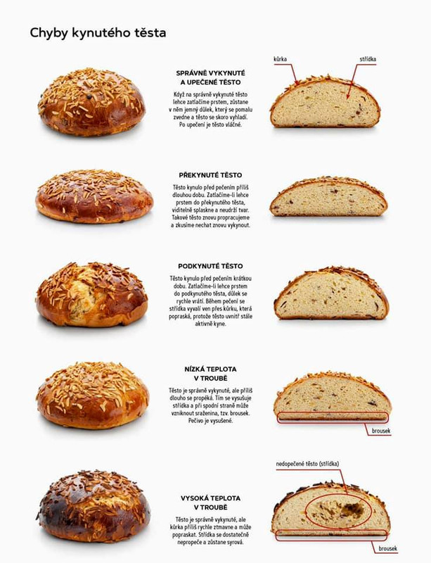 269742005_457176809098064_1725237065969541639_n