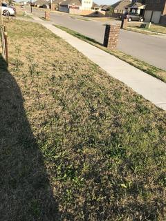 02905815-D380-4E79-9D5E-BF1859AF7B38