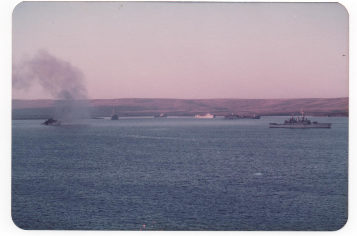 17 ANTELOPE 5496699580363646