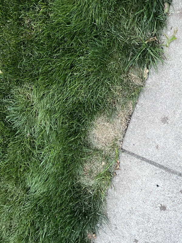 193EC330-6268-4F5D-81D9-D996CC4CB67F