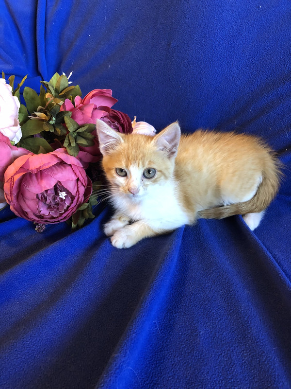 803B6B8A-006E-45F5-9923-8CF471E03E6C