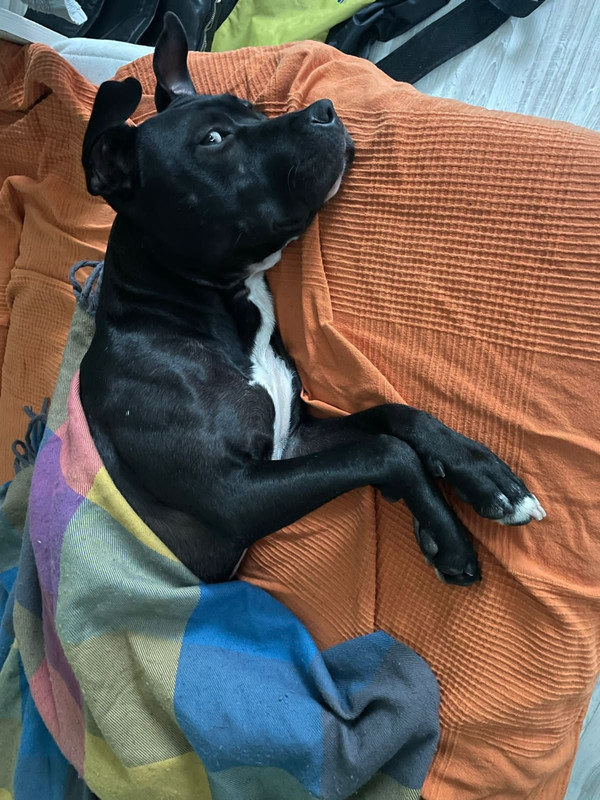 743435B1-F639-4035-8B46-F10E77923B82