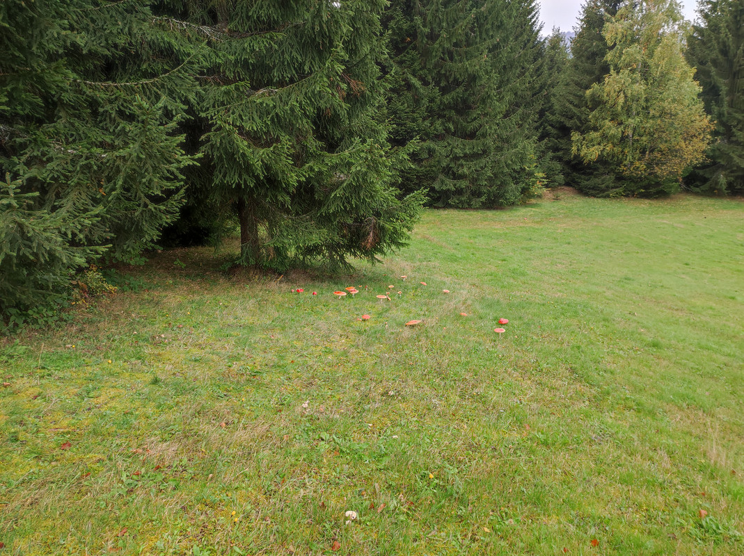 IMG-20221009-093628.jpg