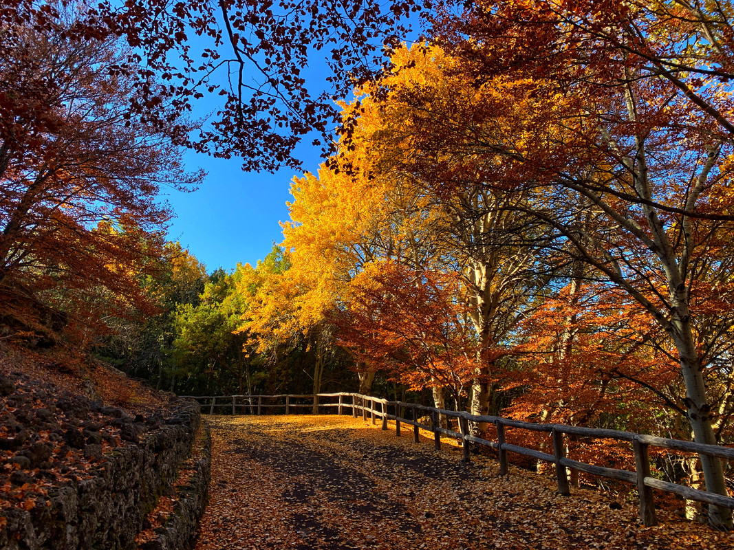 7955B2B7-2B15-40F0-A6FE-7131625A6144