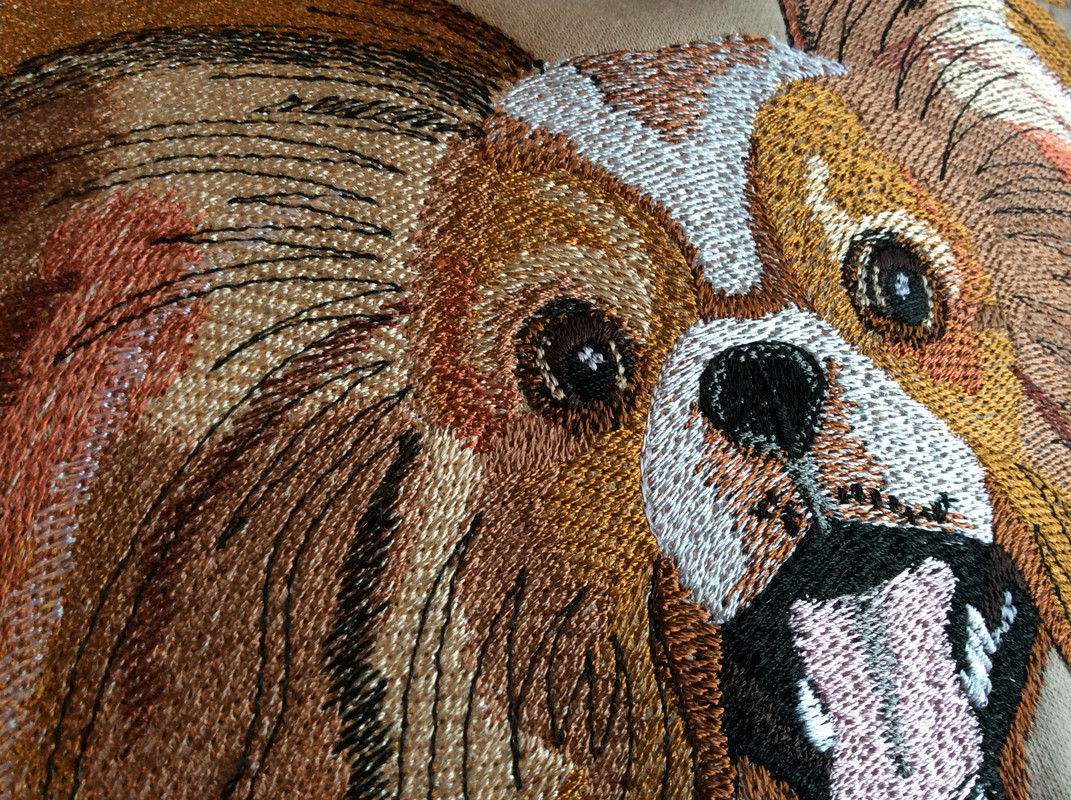 E4812388-37B4-42FE-8119-F75E127FF289