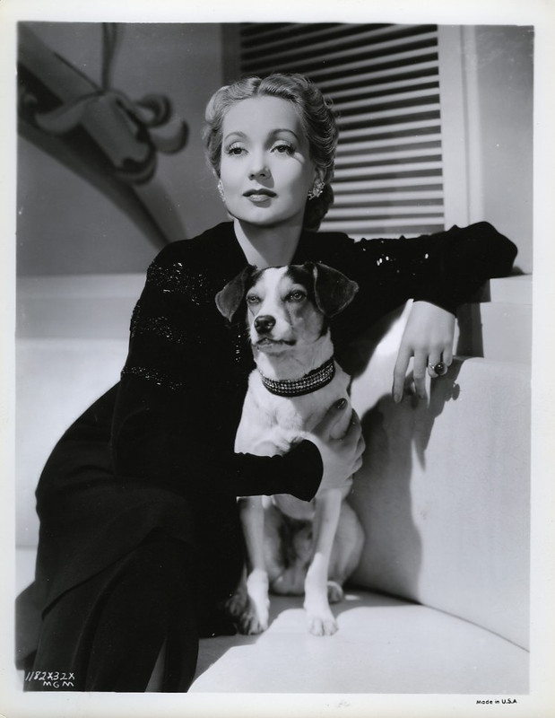 ann_sothern_b16