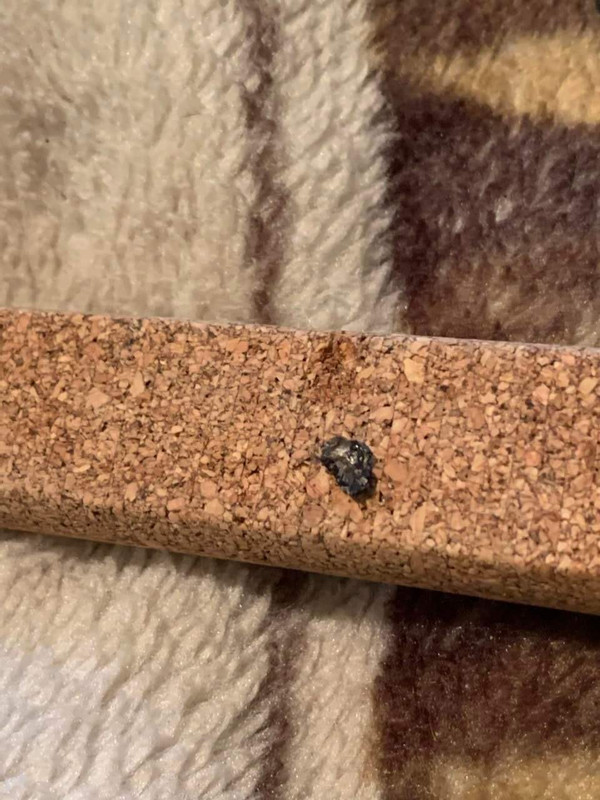 DCEE41DB-32C7-479F-ABBD-69CAF2DD1EA6