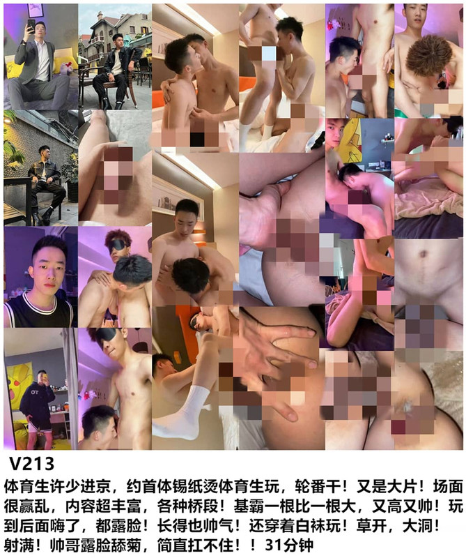 V213