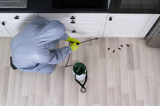 Pest Control Orlando