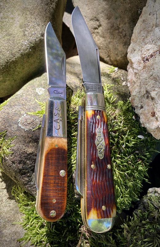 BF4EC0EE-C46A-4ACF-B78D-9FDD94C49385