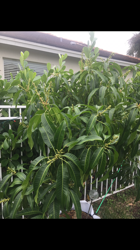 5D77A4C0-0DB6-4332-93F7-F6D5F65BC4FE