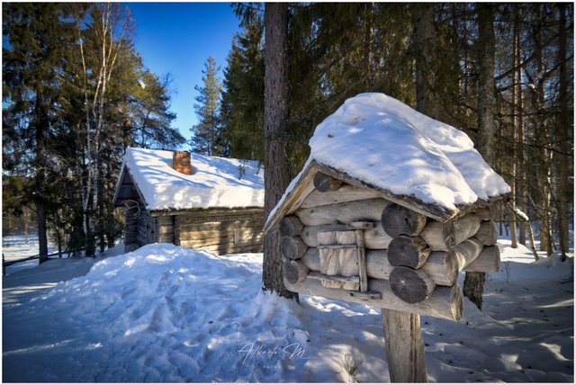 Reportaje por Laponia – Marzo 2023 - Blogs de Finlandia - Parte II (21)