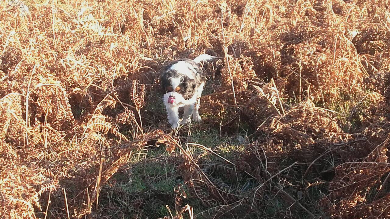 C19249DE-AF4E-46FA-AAB8-9026C764D38C