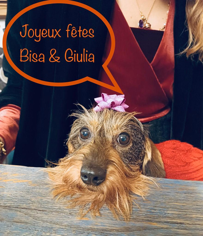 [Image: IMG-20221225-WA0022.jpg]