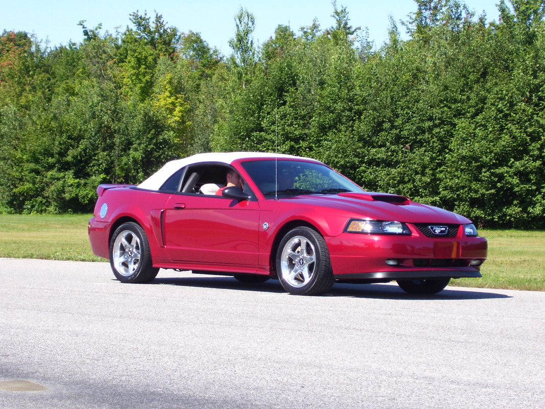 photo - Montréal Mustang: 40 ans et + d’activités! (Photos-Vidéos,etc...) - Page 19 100-0408