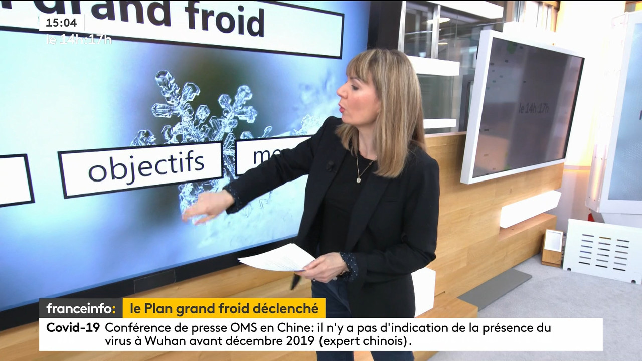 02.09 - 12.59.00 - Le 14h-17h. Au sommaire   Vrai ou fake. - francein..._001.ts_snapshot_00.19.025