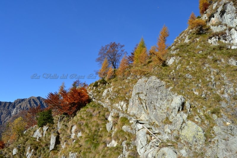 calasca segnara (11)