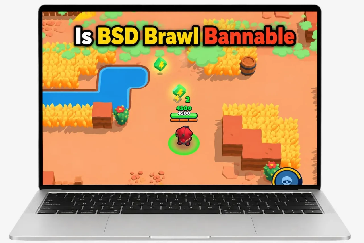BSD Brawl For PC 4 Is BSD Brawl Bannable