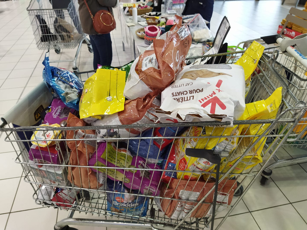 259686846_4595061860581785_1823994466750810032_n