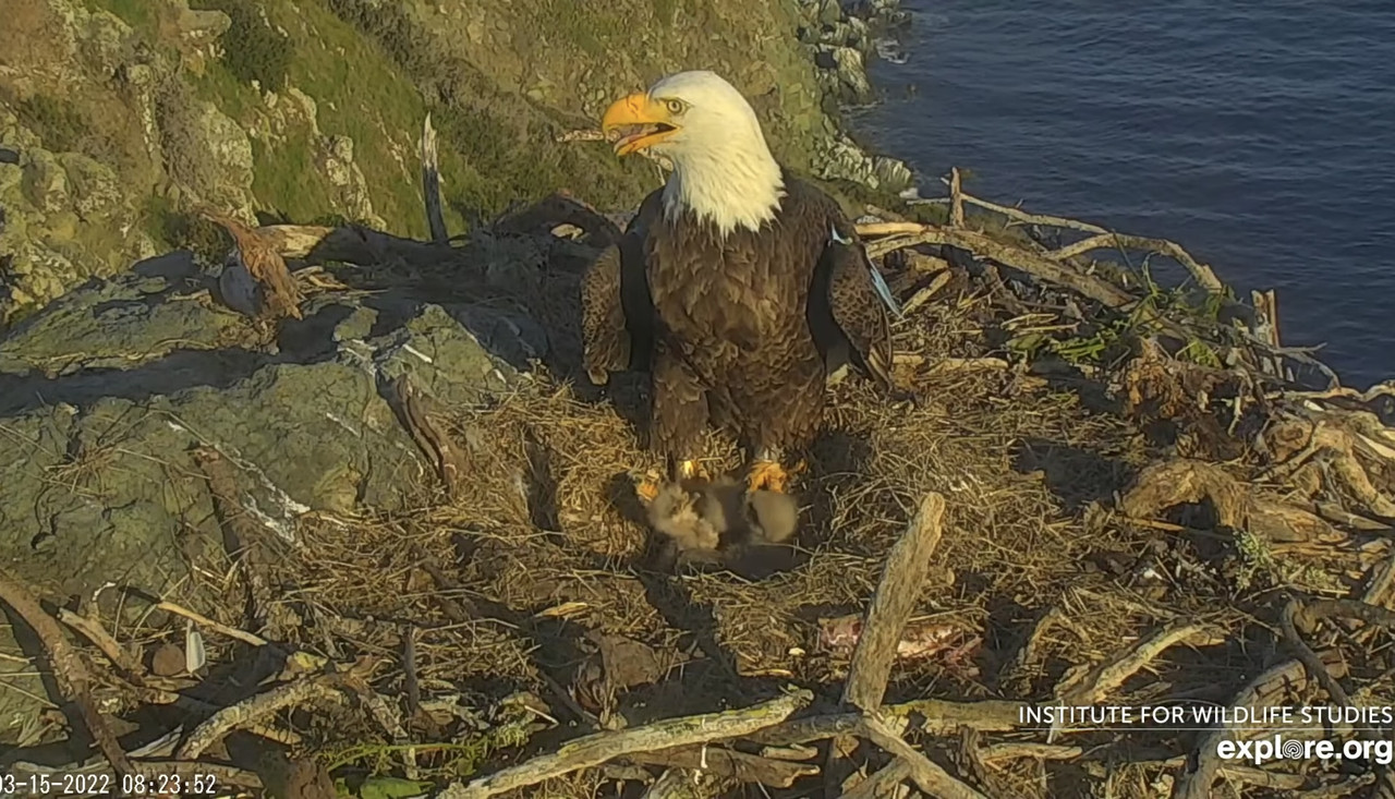 2A327C7A-A319-4ECB-8758-470FE30582A7