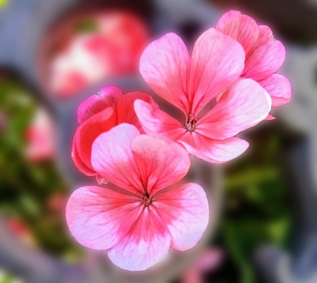 [Image: photostudio-1737578144655.jpg]