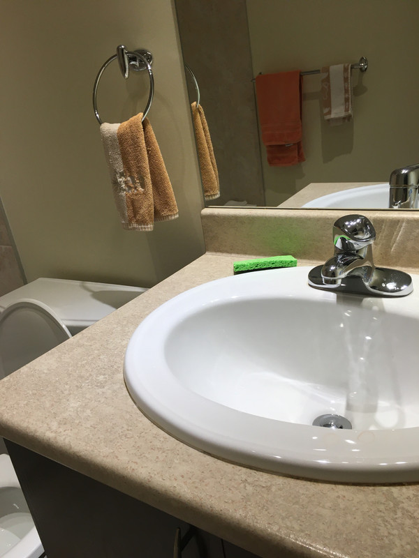 E1BE6FF3-D006-4B0D-9A5E-BA3E8D166567