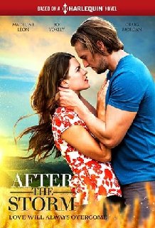 After-The-Storm-2019-WEBRip-x264-ION10.j