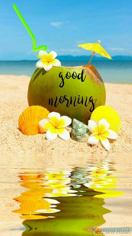goodmorningbeach.jpg