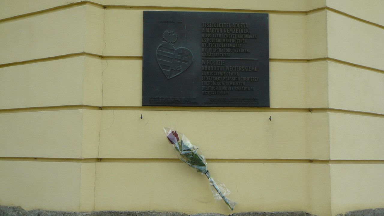 [Obrazek: 8ff856a94c90d65e.jpg]