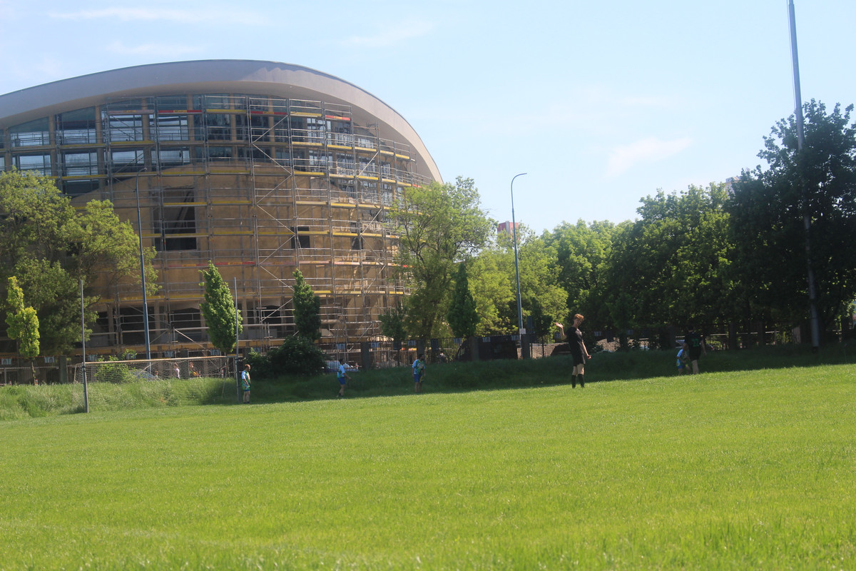 IMG-0338