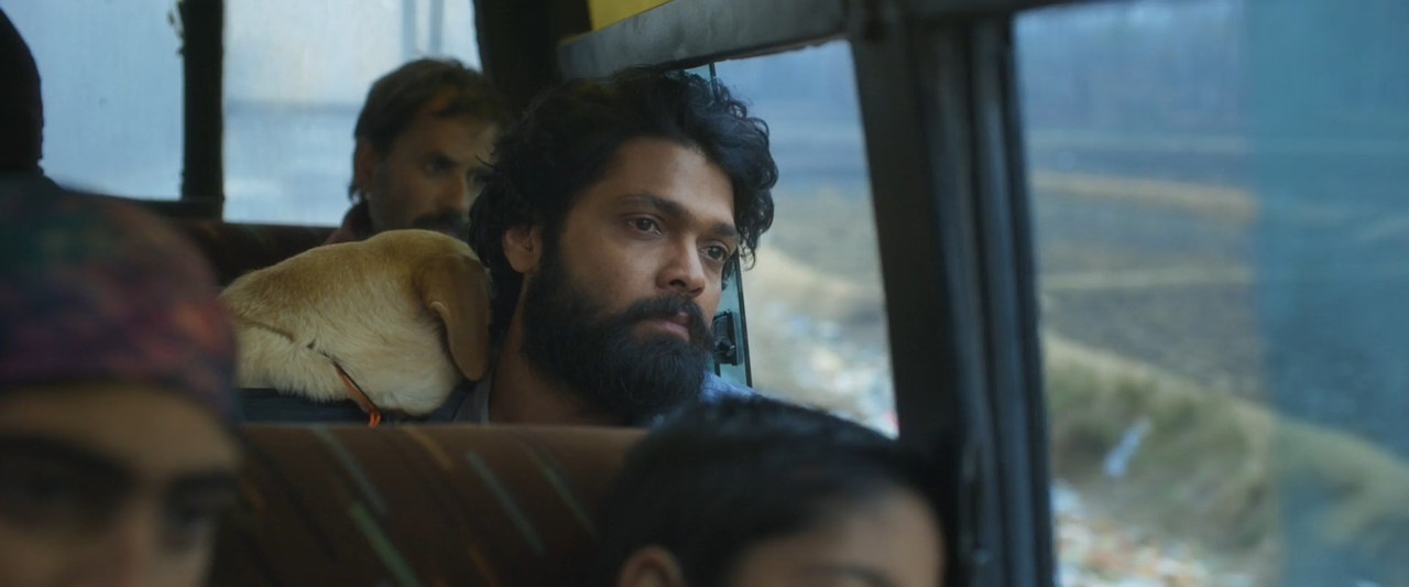 777 Charlie 2022 WebRip [Hindi + Tamil + Telugu + Malayalam + Kannada] 480p 720p 1080p ESub Screenshot