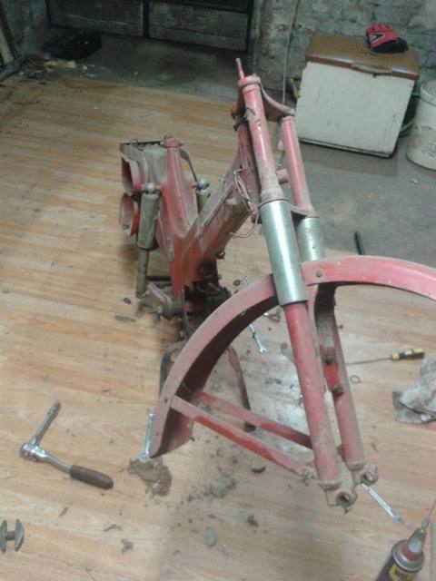 15682813_10209846064662549_1508161817_n