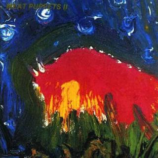 Meat Puppets - Meat Puppets II (1983).mp3 - 320 Kbps