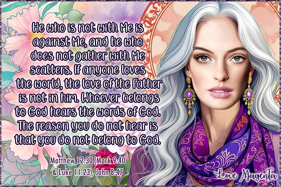 Matthew12-30Mark9-40Luke11-23John8-47.png