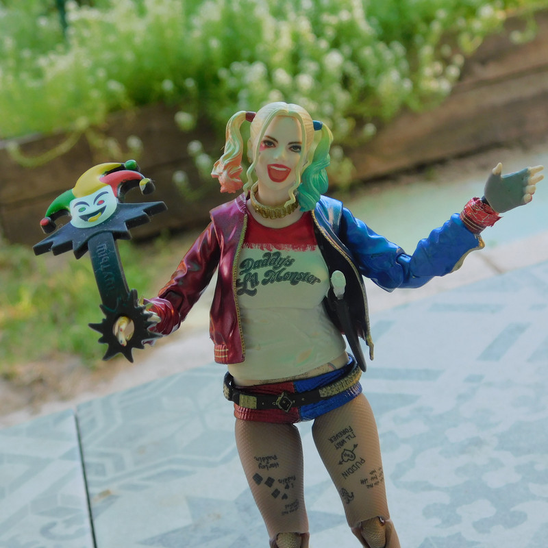 Дачно-Харлинский июнь-июль 2024 260