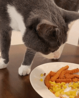 daily-gifdump-3383-25.gif