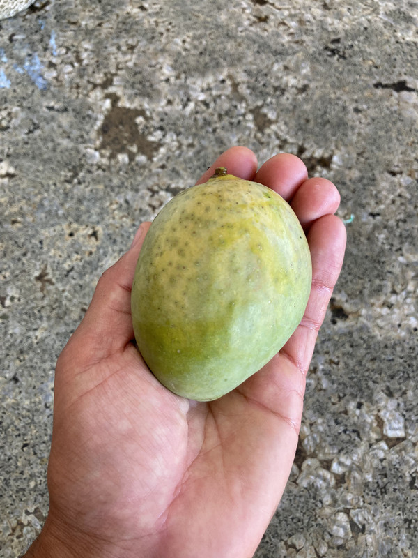 9907FDE5-F119-4E55-9A68-878E08D658F0